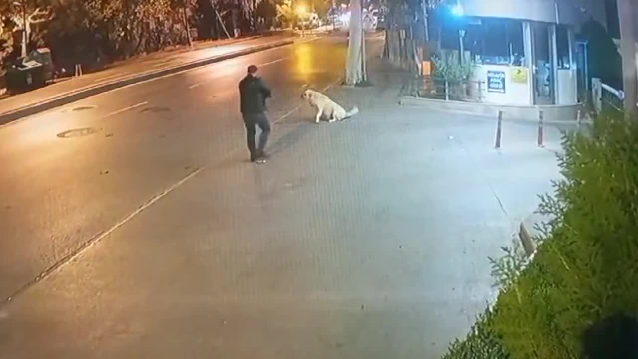 Köpeğe silah doğrultan şüphelinin dokuz ayrı suçtan kaydı çıktı