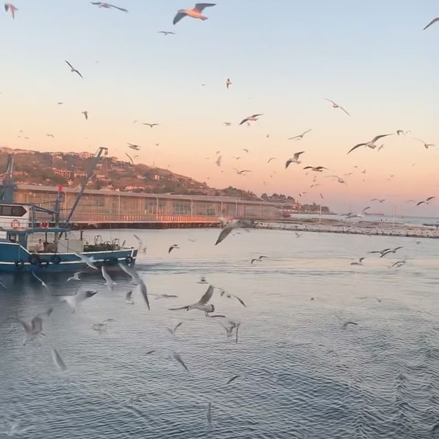 Denizin ve Martıların Keyfi Beylikdüzü'nde Devam Ediyor