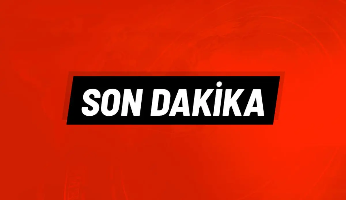 SON DAKİKA!  Ankara'da Yavru Köpekleri Dirgenle Öldüren Sanık Tahliye Edildi